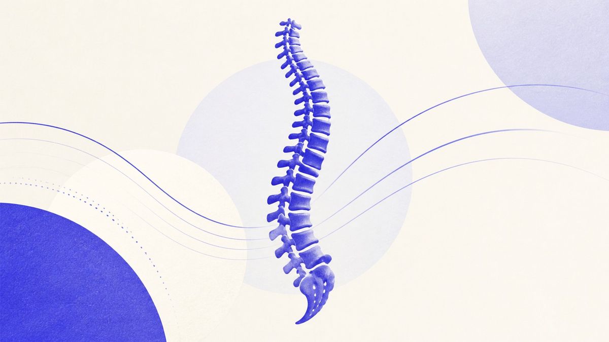 Illustrazione: schiena stilizzata con linee di movimento delicate